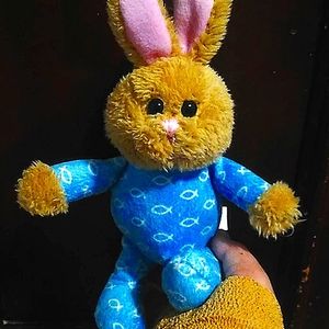 I am selling a small bunny that is 19 years old🐰